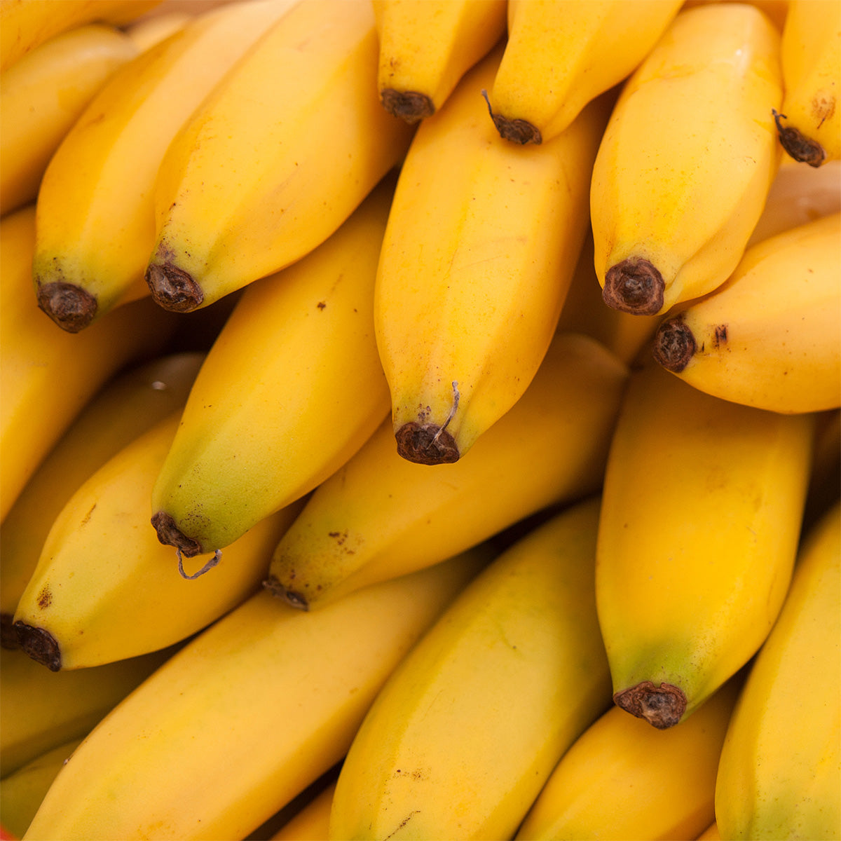 A close-up of a bunch of ripe yellow bananas stacked on top of each other.