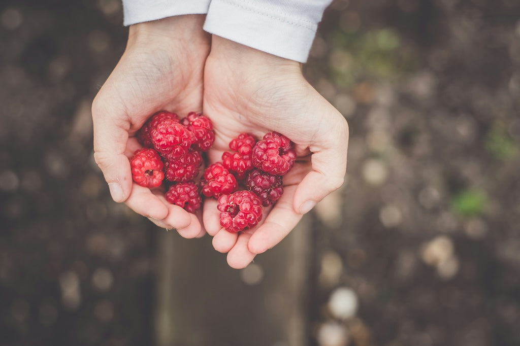 Raspberry Contains Raspberries – Nutritional information, vitamins and benefits – Verival